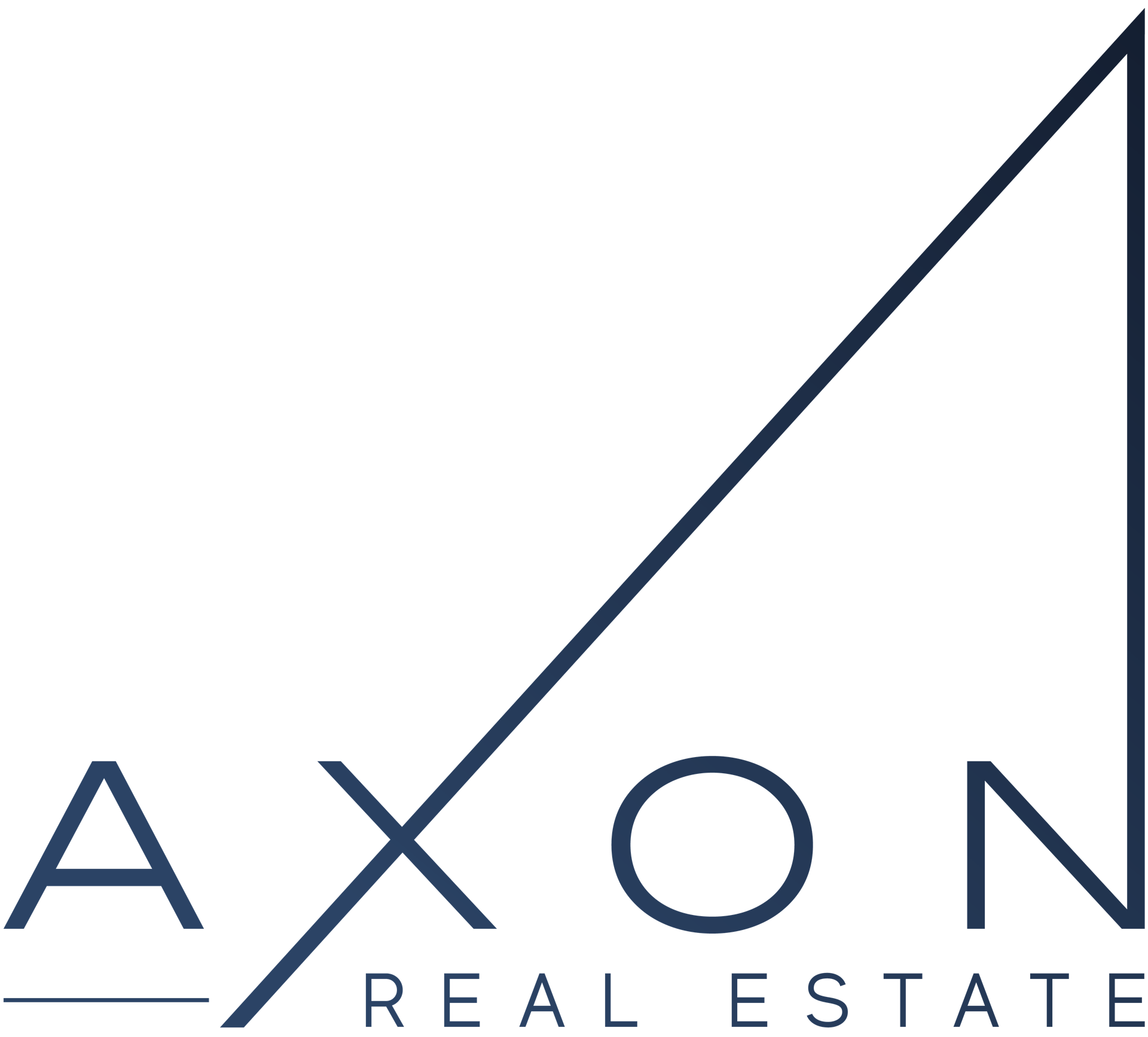 AXON REAL ESTATE